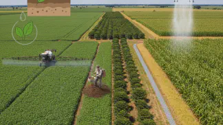 Miniatura do artigo de Gestão Agrícola: Guia de Fertilizantes: Como Escolher o Melhor Adubo para sua Lavoura