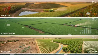 Miniatura do artigo de Agricultura de Precisão: Guia de Plantio por Região: Como Definir a Melhor Época para Semear no Brasil