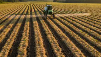 Miniatura do artigo de Manejo de Plantas Daninhas: Herbicida Pré-Emergente para Milho: Guia de Aplicação Segura e Eficiente