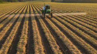 Miniatura do artigo de Manejo de Plantas Daninhas: Herbicida Pré-Emergente para Milho: Guia de Aplicação Segura e Eficiente