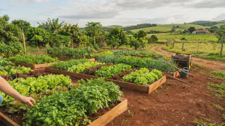 Miniatura do artigo de Gestão Agrícola: Horta em Casa: Guia Completo de Como Começar e Tipos [2025]