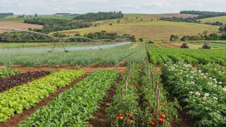 Miniatura do artigo de Gestão Agrícola: Hortaliças: O Que São, Tipos e Manejo | Guia Completo [2025]