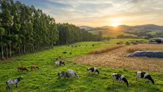 Miniatura do artigo de Gestão Agrícola: ILPF no Leite na Prática: 8 Passos para Mais Lucro [2025]