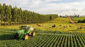 Miniatura do artigo de Gestão Agrícola: ILPF: 6 Passos para o Manejo Florestal e Plantio [2025]