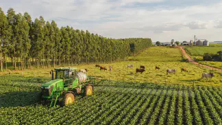 Miniatura do artigo de Gestão Agrícola: ILPF: 6 Passos para o Manejo Florestal e Plantio [2025]