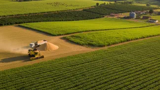 Miniatura do artigo de Gestão Agrícola: Impostos na Venda de Soja: Um Guia Completo para o Produtor Rural