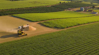 Miniatura do artigo de Gestão Agrícola: Impostos na Venda de Soja: Um Guia Completo para o Produtor Rural