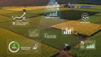 Miniatura do artigo de Gestão Financeira: Indicadores de Desempenho na Fazenda: Como Medir e Aumentar seu Lucro