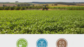 Miniatura do artigo de Gestão Agrícola: Indicadores de Fertilidade do Solo: O Guia para Entender sua Análise