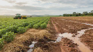 Miniatura do artigo de Gestão Agrícola: Infiltração no Plantio Direto: Como Reter Mais Água [2025]