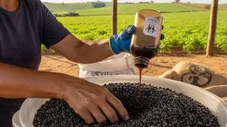 Miniatura do artigo de Gestão Agrícola: Inoculante para Feijão Caupi: O Guia Completo para Aumentar a Produtividade