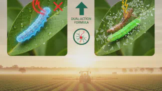 Miniatura do artigo de Manejo Integrado de Pragas: Inseticida Plethora: Análise Completa da Nova Ferramenta para Controle de Pragas