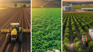 Miniatura do artigo de Gestão Agrícola: Insumos Agrícolas: O Guia Completo para Comprar e Gerenciar com Eficiência