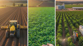 Miniatura do artigo de Gestão Agrícola: Insumos Agrícolas: O Guia Completo para Comprar e Gerenciar com Eficiência