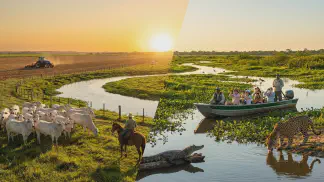 Miniatura do artigo de Gestão Agrícola: Investimento no Pantanal: Guia de Custo-Benefício [2025]