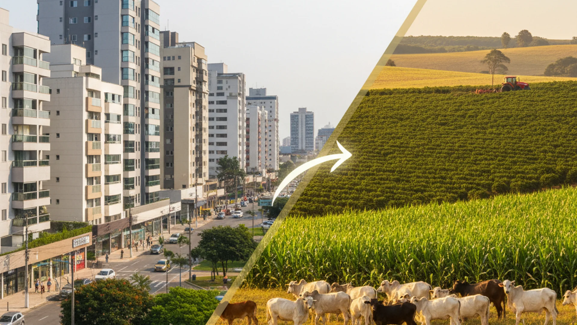 IPTU em Área Rural: Entenda Quando Pagar e Como Evitar Custos Extras