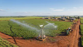 Miniatura do artigo de Gestão Agrícola: Irrigação do Amendoim: Guia para Máxima Produtividade [2025]