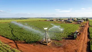 Miniatura do artigo de Gestão Agrícola: Irrigação do Amendoim: Guia para Máxima Produtividade [2025]