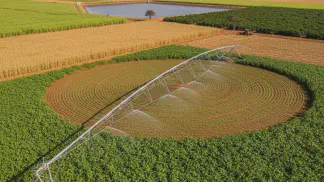 Miniatura do artigo de Gestão Agrícola: Irrigação de Feijão: Vantagens, Desvantagens e Como Escolher o Sistema Certo