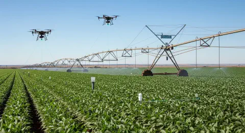 Sistema de irrigação por pivô central com opção de monitoramento por drones