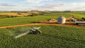 Miniatura do artigo de Gestão Agrícola: Irrigação da Pera: Guia Prático para Frutos Maiores [2025]