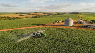 Miniatura do artigo de Gestão Agrícola: Irrigação da Pera: Guia Prático para Frutos Maiores [2025]