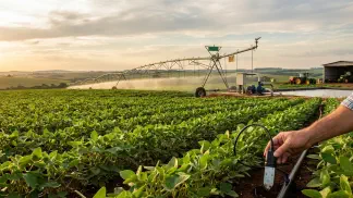 Miniatura do artigo de Gestão Agrícola: Irrigação: Pêssego, Nectarina e Ameixa - Guia Prático [2025]