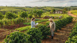 Miniatura do artigo de Gestão Agrícola: Certificação Orgânica: Legislação e Passo a Passo [2025]