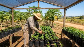 Miniatura do artigo de Gestão Agrícola: Mamoeiro: Semente ou Enxerto? Guia para Produzir Mais [2025]