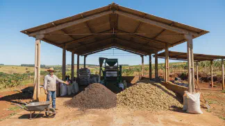 Miniatura do artigo de Gestão Agrícola: Torta de Mamona: Como Usar na Adubação e Pecuária [2025]