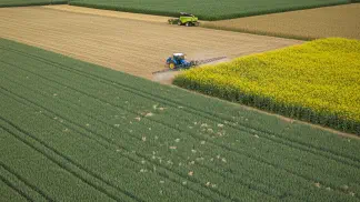 Miniatura do artigo de Manejo de Doencas: Mancha-Amarela no Trigo: Guia Completo de Identificação e Manejo