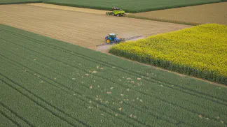Miniatura do artigo de Manejo de Doencas: Mancha-Amarela no Trigo: Guia Completo de Identificação e Manejo