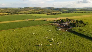 Miniatura do artigo de Gestão Agrícola: Cria de Bezerros: Manejo e Estação de Monta [Guia 2025]