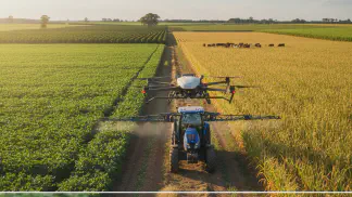 Miniatura do artigo de Manejo de Doencas: Manejo de Doenças: Estratégias para Proteger a Produtividade no Campo