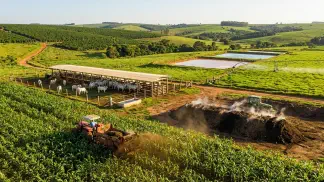 Miniatura do artigo de Gestão Agrícola: Manejo de Esterco: Guia Prático para Adubo Orgânico [2025]