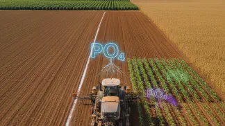 Miniatura do artigo de Gestão Agrícola: Manejo do Fósforo na Lavoura: Guia Completo para Máxima Produtividade