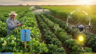 Miniatura do artigo de Manejo Integrado de Pragas: Manejo Integrado de Pragas (MIP): O que é e como aplicar na sua lavoura