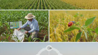 Miniatura do artigo de Manejo Integrado de Pragas: Manejo Integrado de Pragas: Reduza Custos e Proteja sua Lavoura