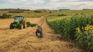 Miniatura do artigo de Gestão Agrícola: Manejo do Solo na Soja: 5 Dicas para Produtividade [2025]