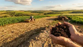 Miniatura do artigo de Gestão Agrícola: Manejo do Solo em Hortaliças: 3 Práticas Essenciais [2025]