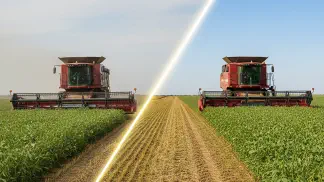 Miniatura do artigo de Gestão Agrícola: Manutenção e Regulagem de Implementos Agrícolas: O Guia Completo