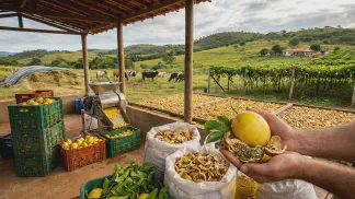 Miniatura do artigo de Gestão Agrícola: Aproveitamento do Maracujá: Guia Prático para Lucro [2025]