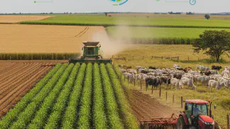 Miniatura do artigo de Gestão Agrícola: Mecanização Agrícola: Guia Completo para Aumentar a Eficiência da Sua Fazenda