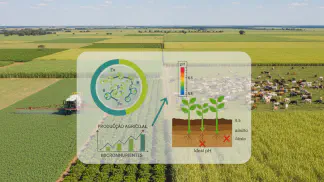 Miniatura do artigo de Gestão Agrícola: Micronutrientes na Lavoura: Funções, Sintomas e Aplicação