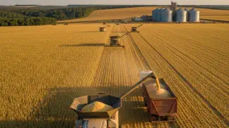 Miniatura do artigo de Gestão Agrícola: Milho 2019: Safra Recorde no Brasil e Oportunidades Globais