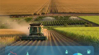 Miniatura do artigo de Mercado Agrícola: Milho e Soja em Queda: Cenário 2024 e Como Proteger sua Rentabilidade