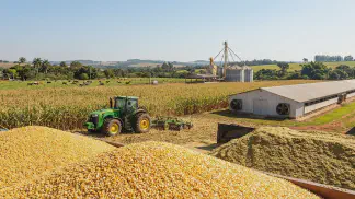 Miniatura do artigo de Gestão Agrícola: Milho na Nutrição Animal: Guia Completo para Lucrar [2025]