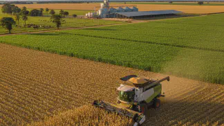 Miniatura do artigo de Gestão Agrícola: Milho Safrinha 2019: O Que Esperar da Produção, Clima e Preços?