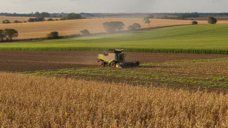 Miniatura do artigo de Planejamento Agrícola: Milho Safrinha: O Guia Completo do Plantio à Colheita Lucrativa