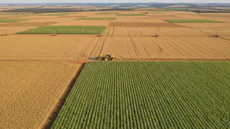 Miniatura do artigo de Manejo Integrado de Pragas: Milho Safrinha: O Guia Completo para o Plantio e Manejo da 2ª Safra